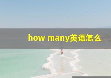 how many英语怎么